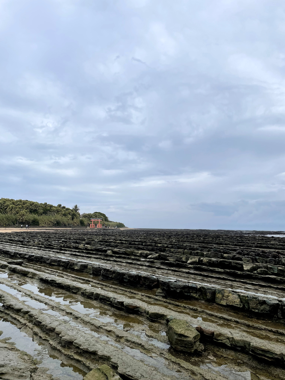自然を満喫できて距離も自由に設定できる海岸沿いのコースの写真3
