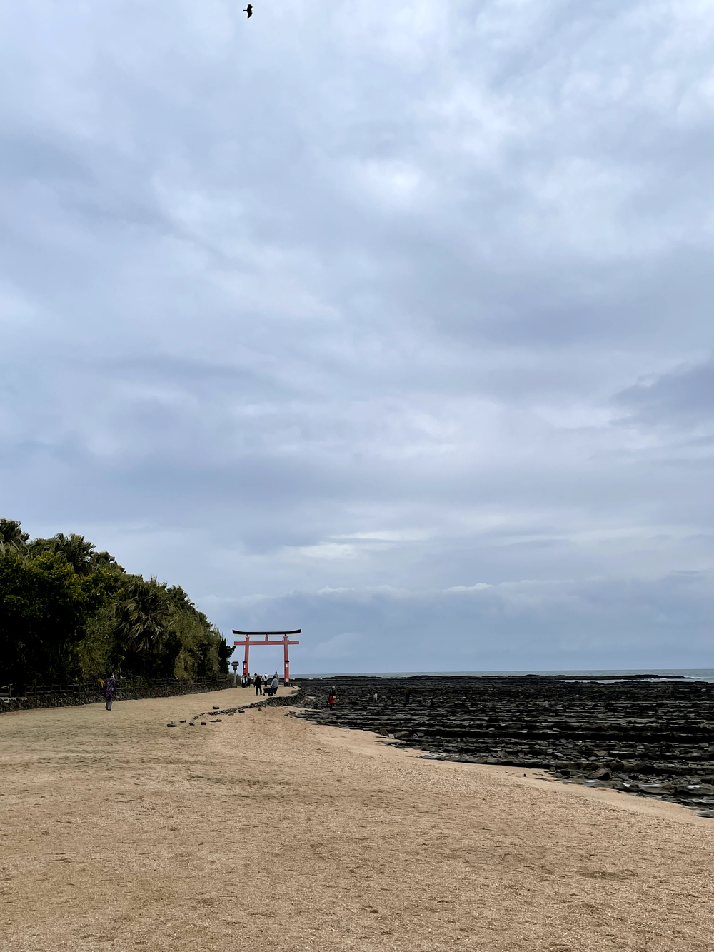 自然を満喫できて距離も自由に設定できる海岸沿いのコースの写真4