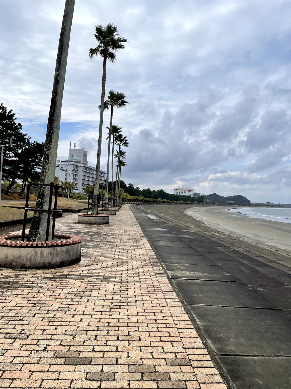 自然を満喫できて距離も自由に設定できる海岸沿いのコースの写真5