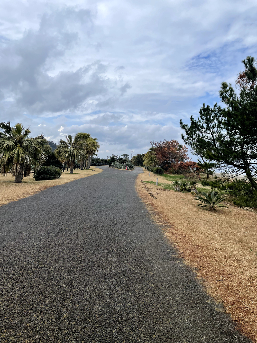 自然を満喫できて距離も自由に設定できる海岸沿いのコースの写真6