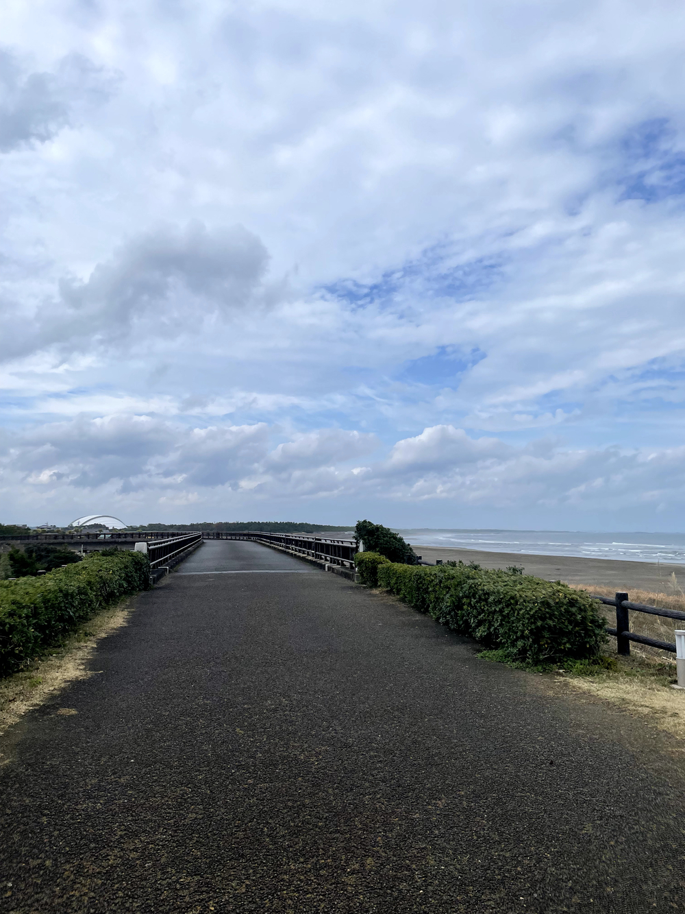 自然を満喫できて距離も自由に設定できる海岸沿いのコースの写真7