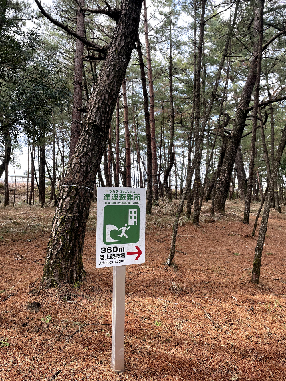 自然を満喫できて距離も自由に設定できる海岸沿いのコースの写真12
