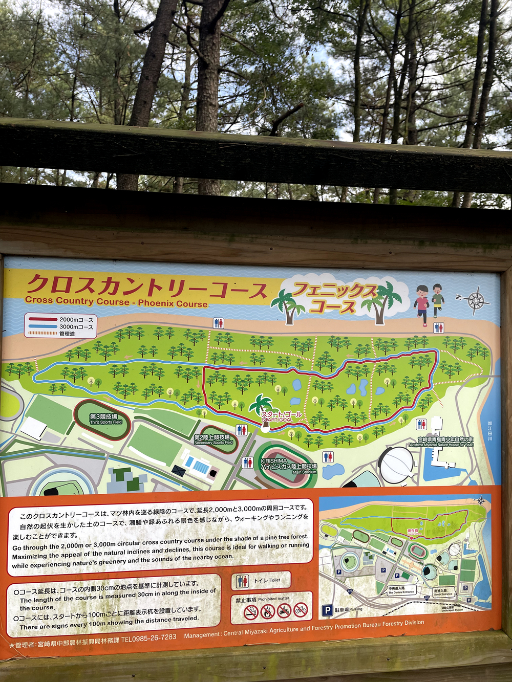 自然を満喫できて距離も自由に設定できる海岸沿いのコースの写真13