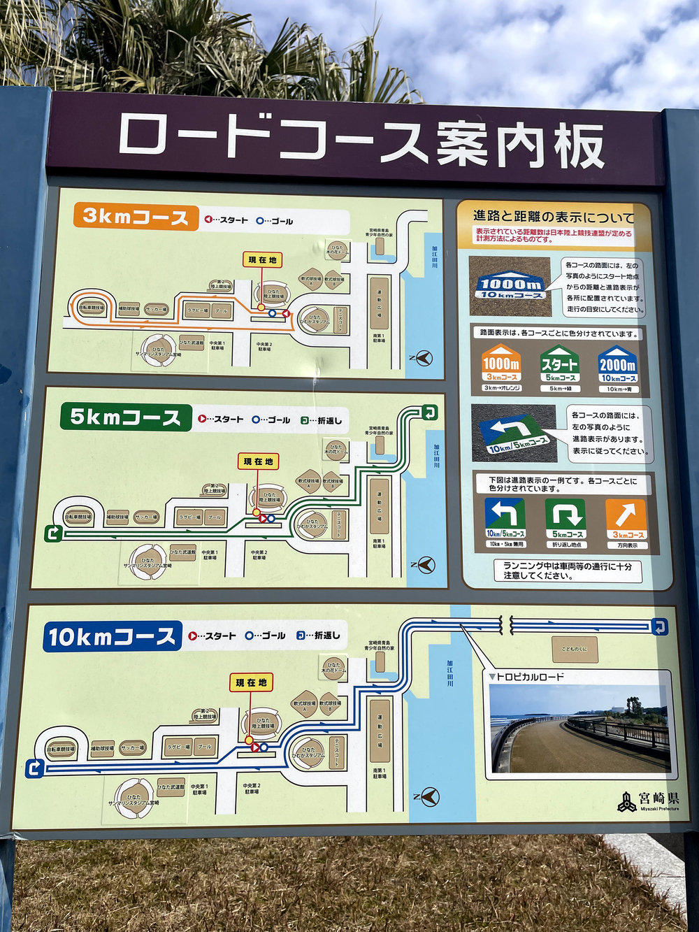 自然を満喫できて距離も自由に設定できる海岸沿いのコースの写真14