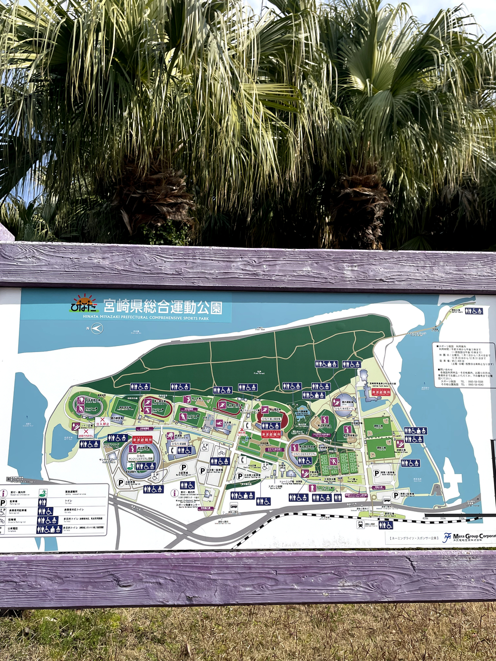 自然を満喫できて距離も自由に設定できる海岸沿いのコースの写真15