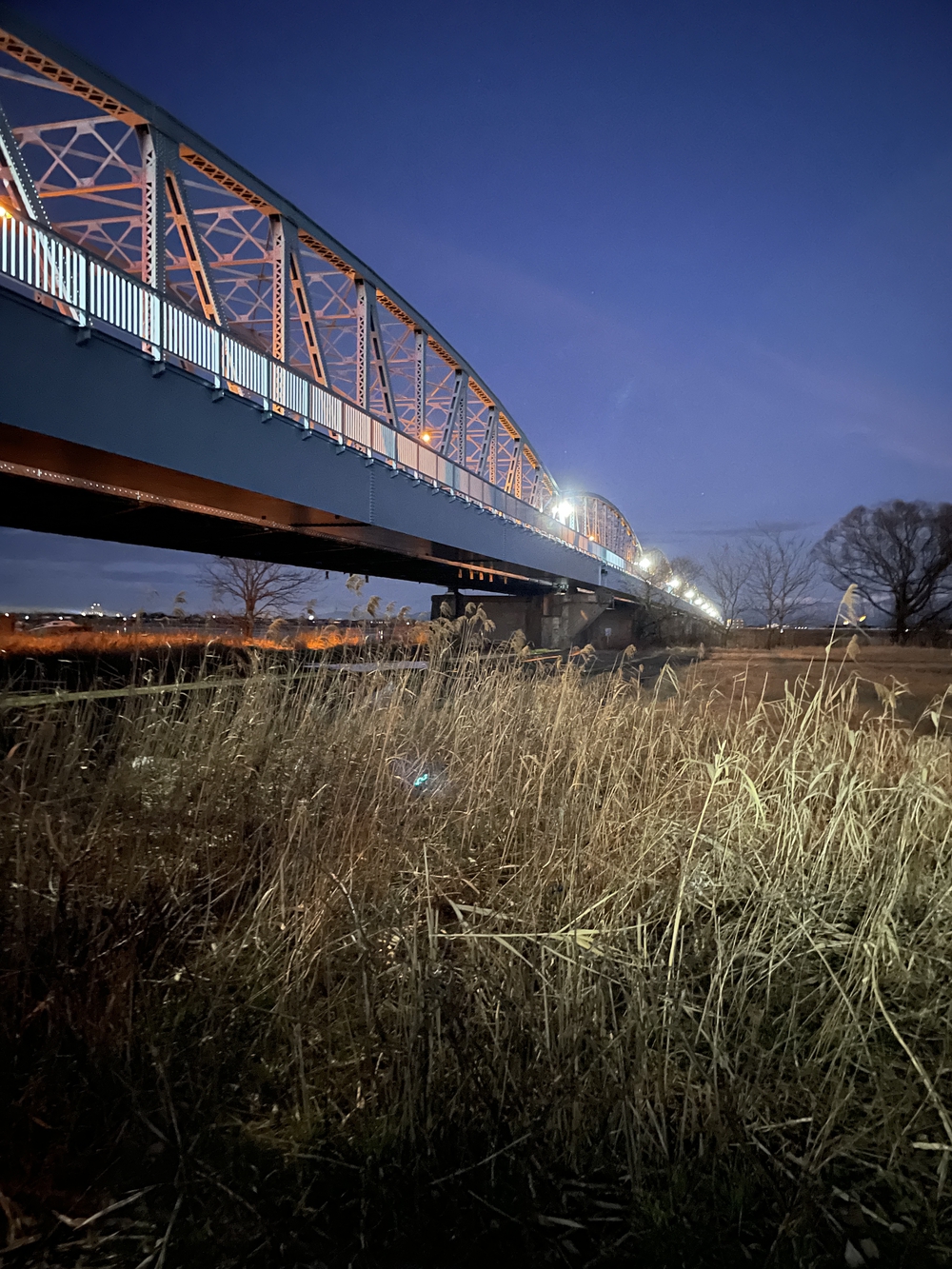 阿賀野川河川公園周回コースの写真3