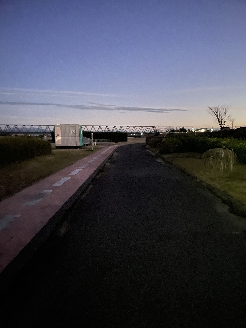 阿賀野川河川公園周回コースの写真4