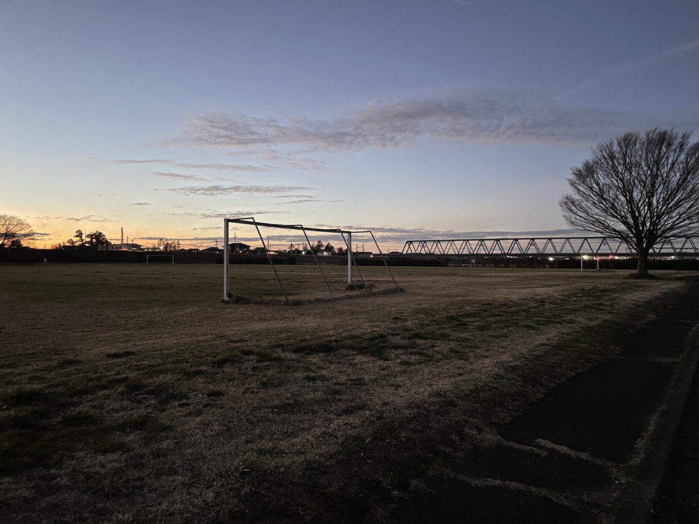 阿賀野川河川公園周回コースの写真6