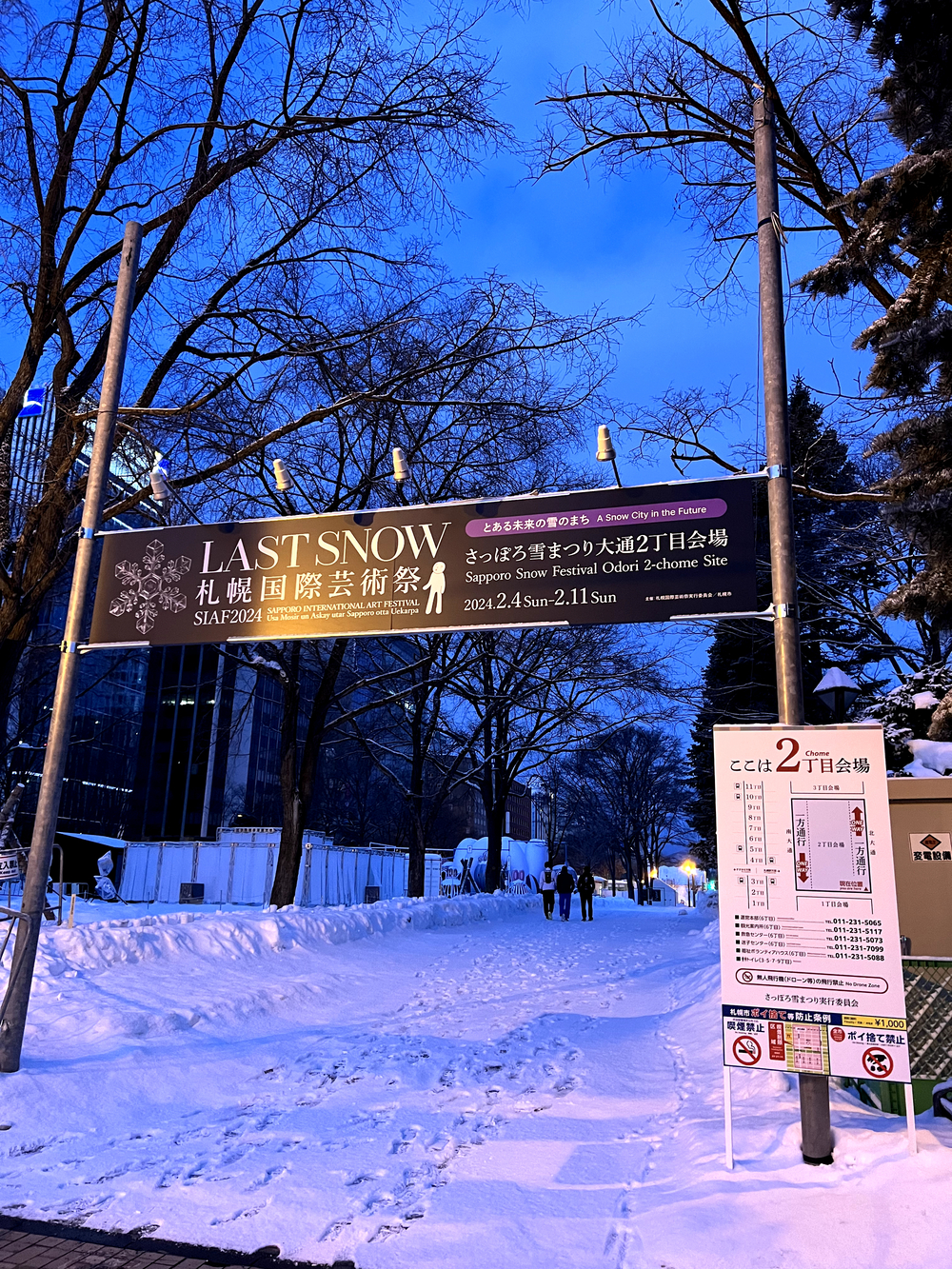 札幌雪まつり 大通公園往復の写真3