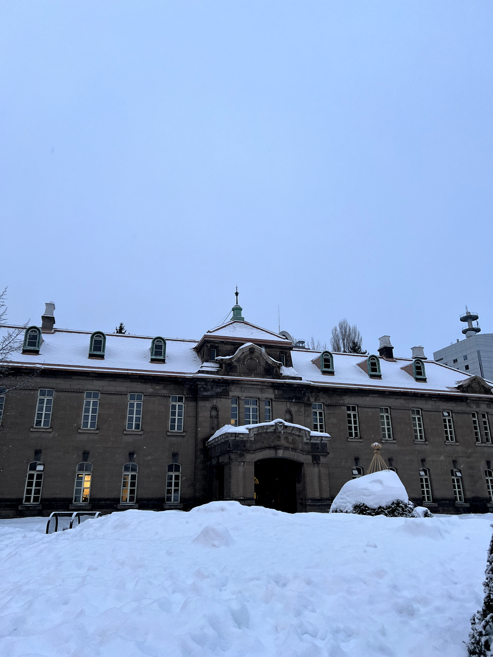 札幌雪まつり 大通公園往復の写真12