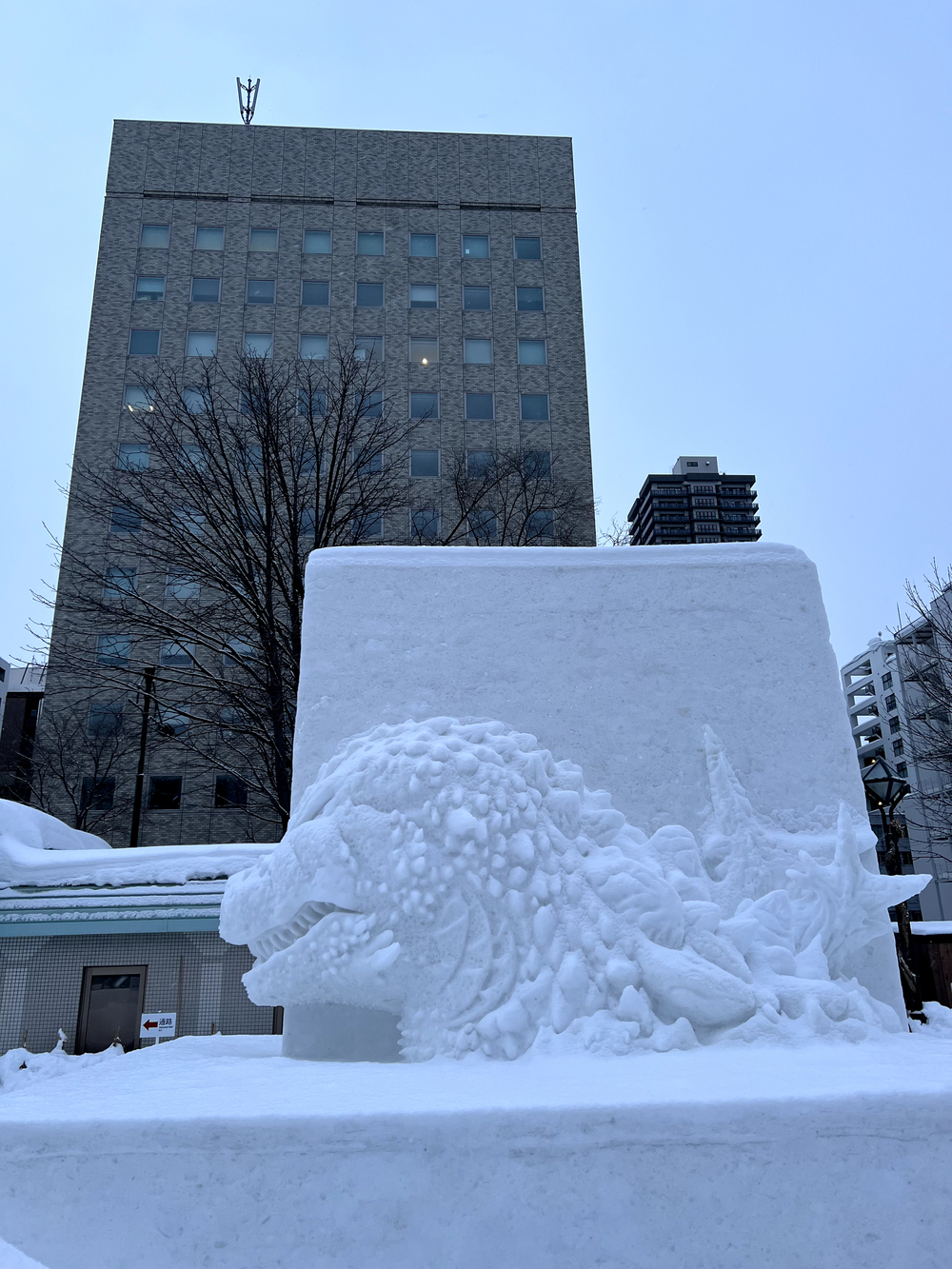 札幌雪まつり 大通公園往復の写真15