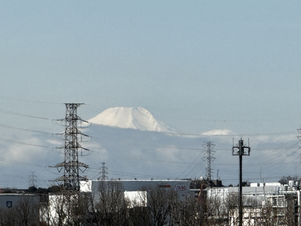 彩湖と戸田公園を中心に荒川左岸を21キロ　下笹目バス停〜川口駅の写真3