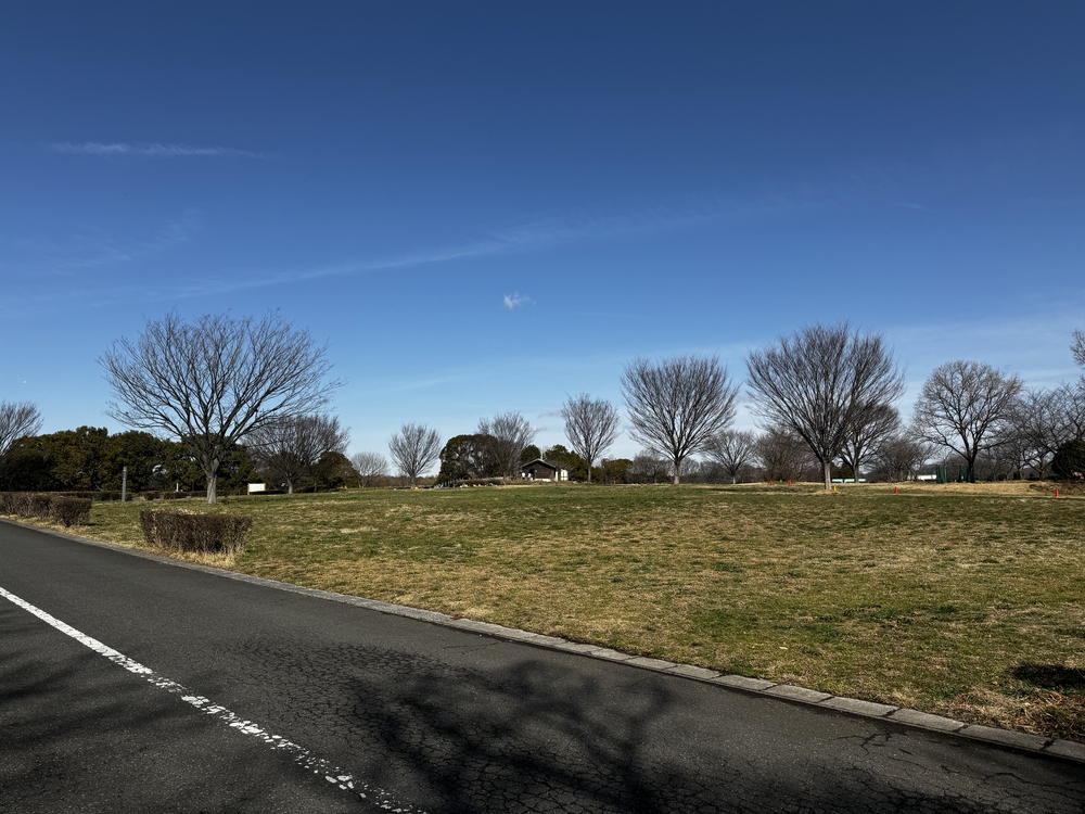 彩湖と戸田公園を中心に荒川左岸を21キロ　下笹目バス停〜川口駅の写真4