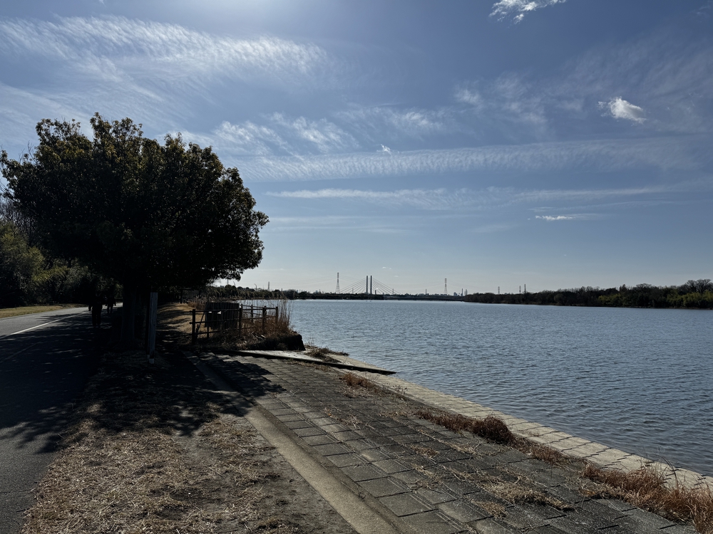 彩湖と戸田公園を中心に荒川左岸を21キロ　下笹目バス停〜川口駅の写真5