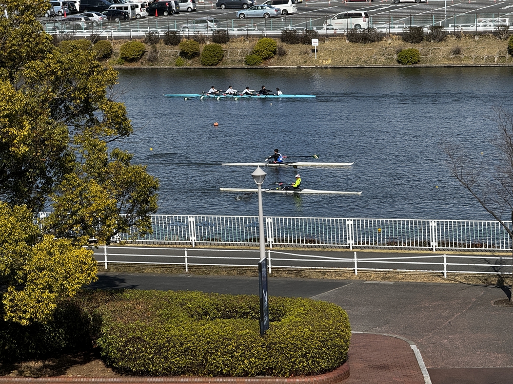 彩湖と戸田公園を中心に荒川左岸を21キロ　下笹目バス停〜川口駅の写真7