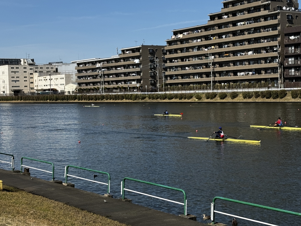 彩湖と戸田公園を中心に荒川左岸を21キロ　下笹目バス停〜川口駅の写真8