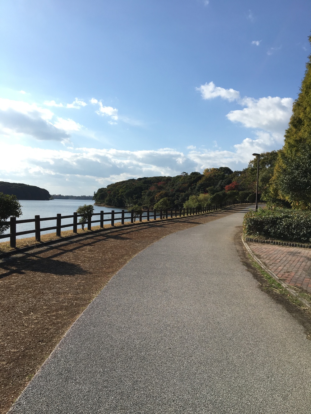 美しい湖畔、緑と花とアートの中を走るの写真4