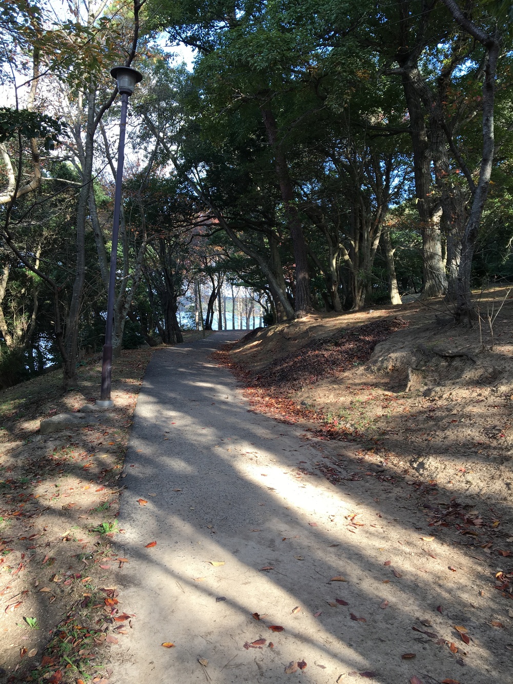 美しい湖畔、緑と花とアートの中を走るの写真5