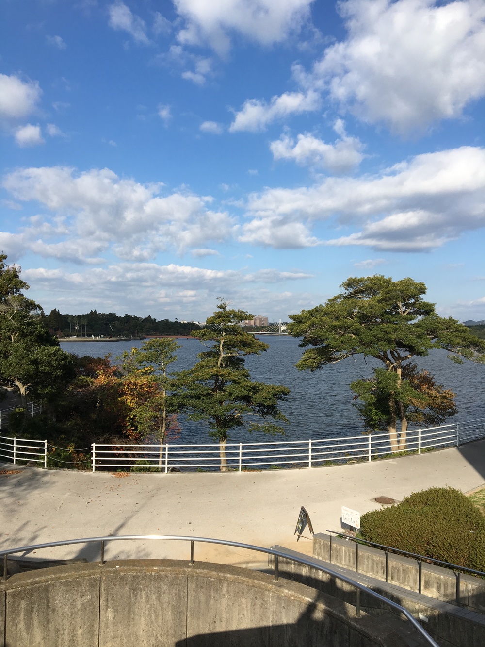 美しい湖畔、緑と花とアートの中を走るの写真6