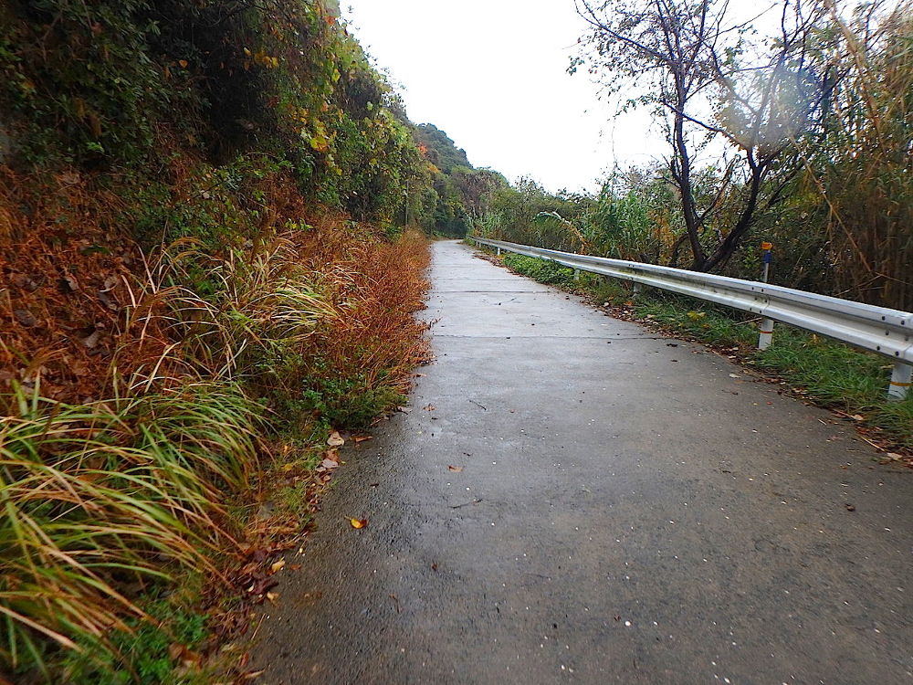 猫パラダイス！相島1周コース（6km）の写真3
