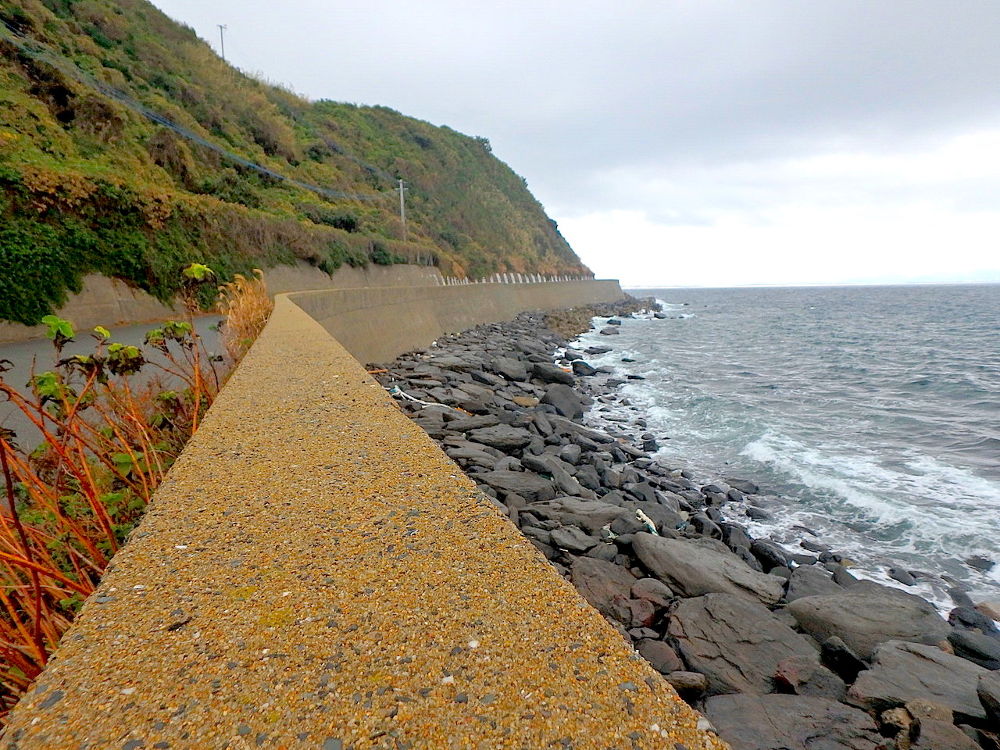 猫パラダイス！相島1周コース（6km）の写真6