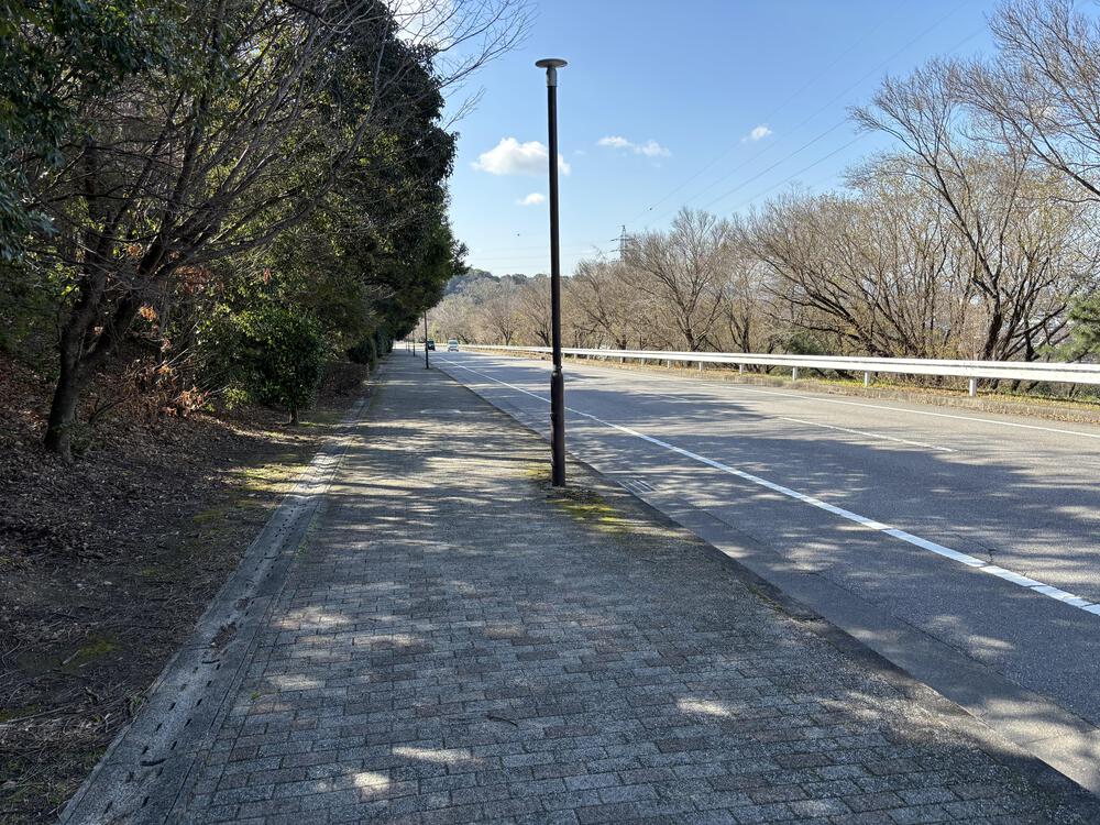 岡崎中央総合公園の写真3