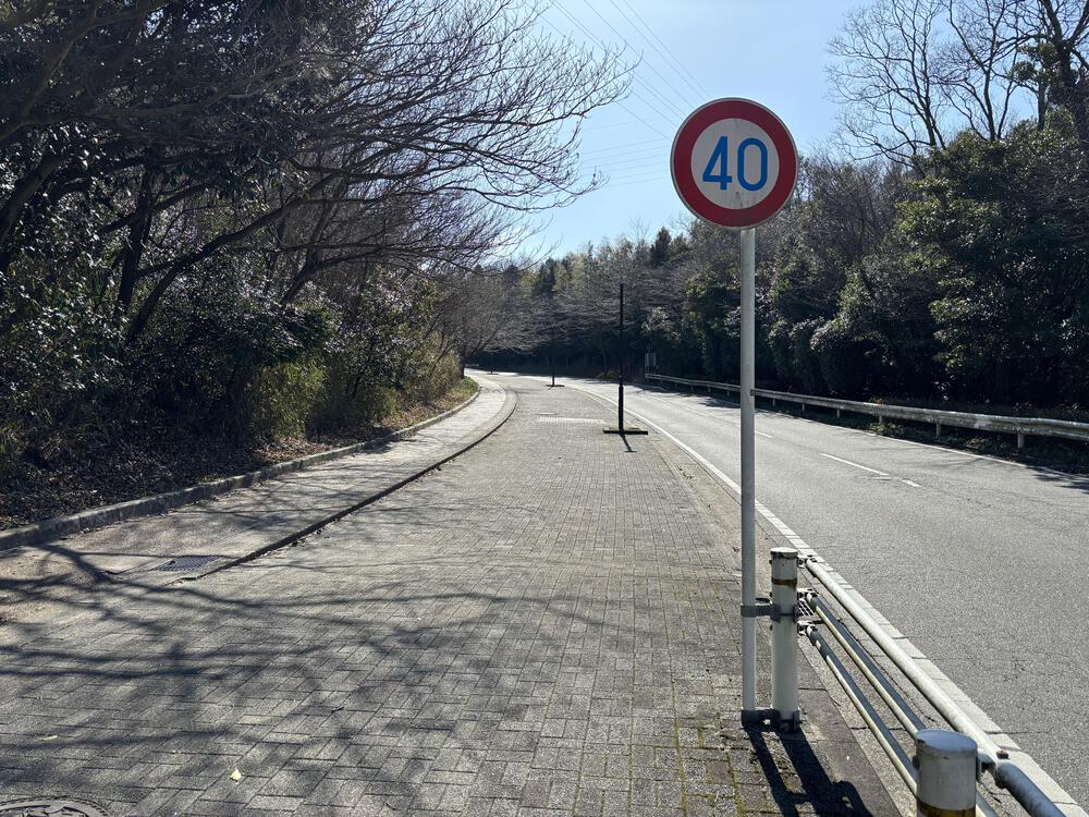 岡崎中央総合公園の写真4