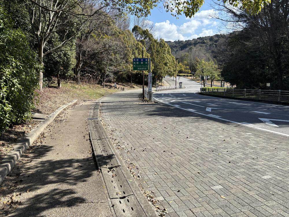 岡崎中央総合公園の写真6