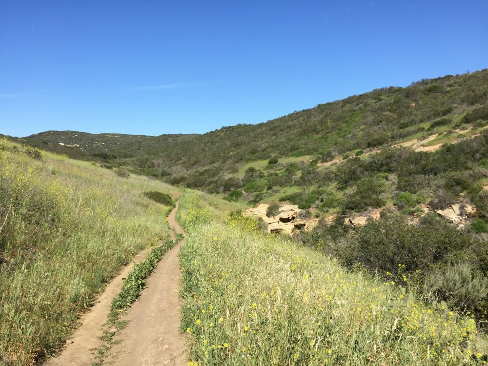 Pacific Ridge Trailの写真3