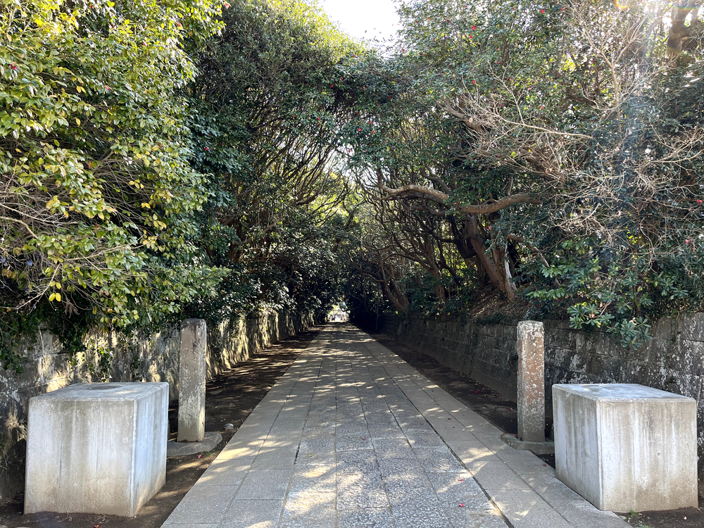阿字ヶ浦海岸沿いから那珂川を上がり水戸駅への写真3