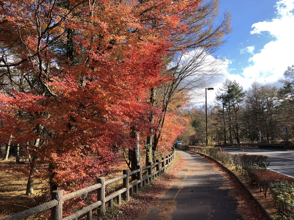 山中湖畔周回（26.5Km・2周）の写真3