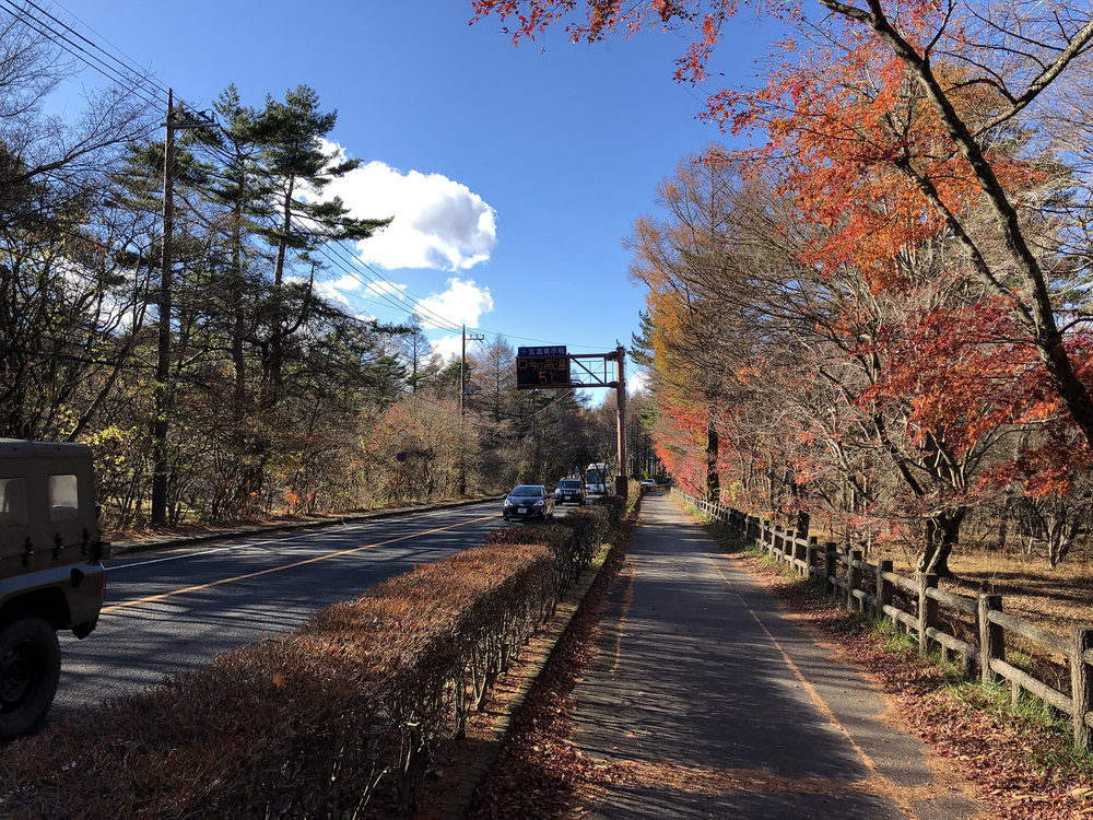 山中湖畔周回（26.5Km・2周）の写真4