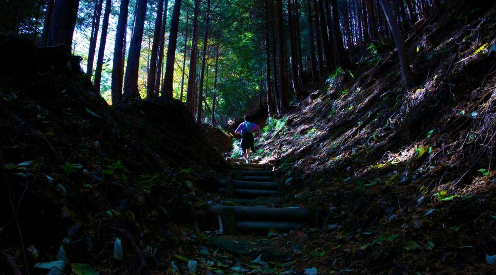 高畑山からみる宮ヶ瀬湖の写真3