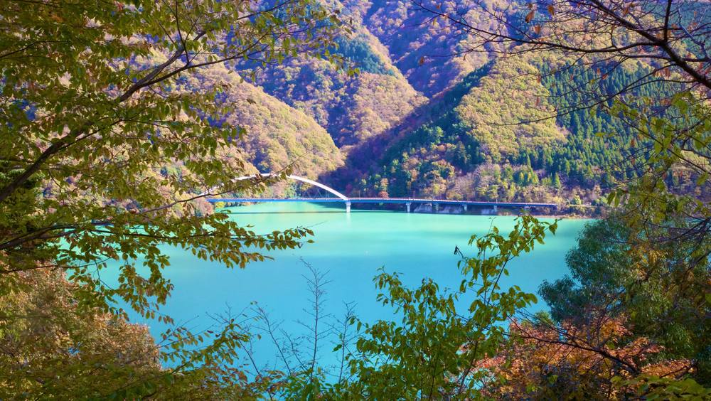 高畑山からみる宮ヶ瀬湖の写真4