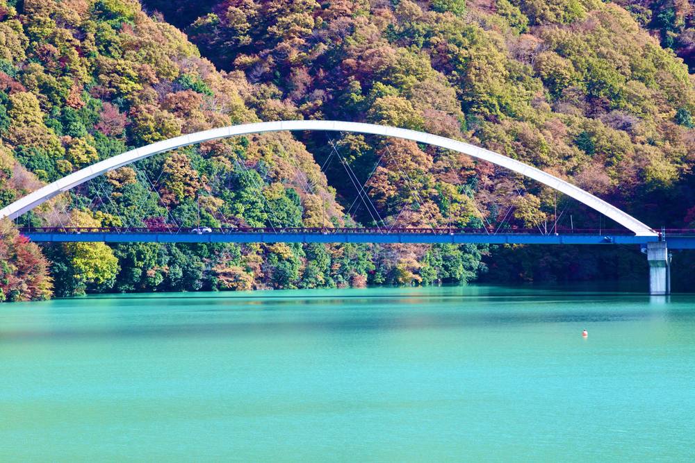 高畑山からみる宮ヶ瀬湖の写真6