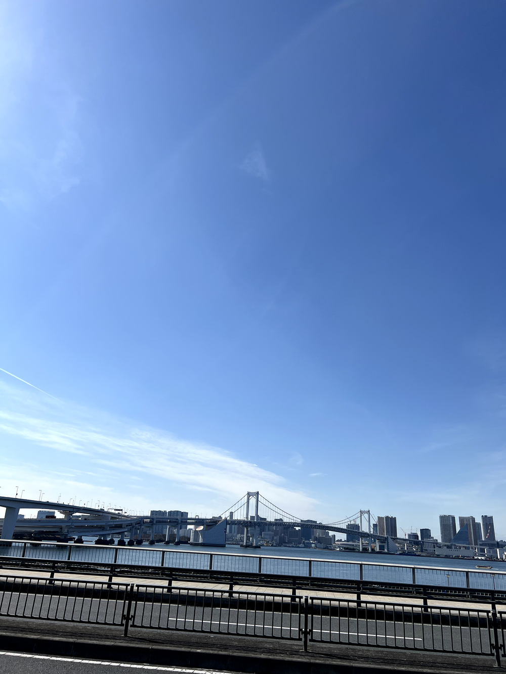 レインボーブリッジ〜豊洲市場周回の写真3