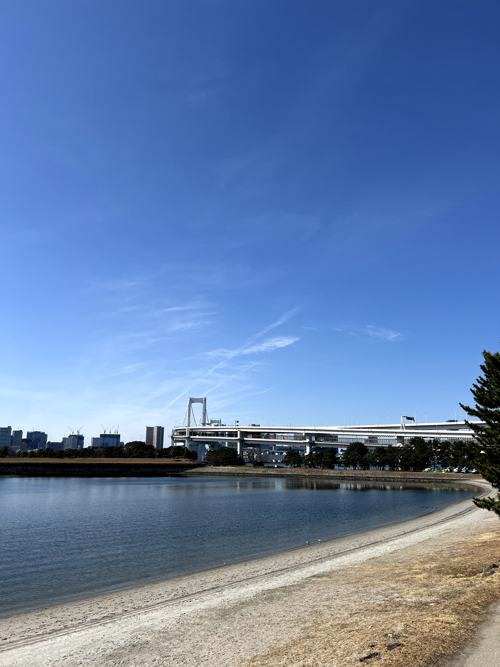 レインボーブリッジ〜豊洲市場周回の写真5