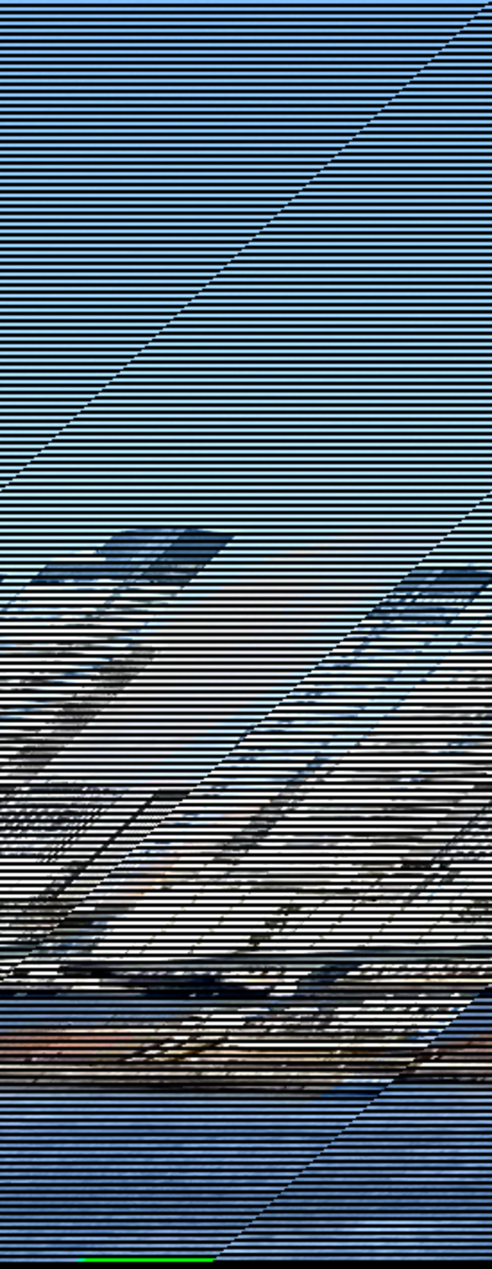 レインボーブリッジ〜豊洲市場周回の写真8