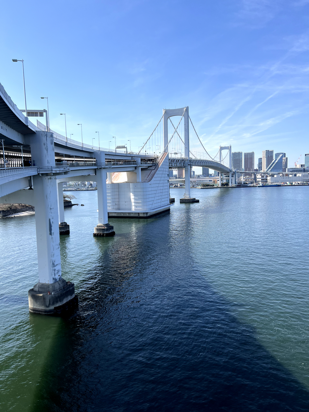 レインボーブリッジ〜豊洲市場周回の写真9