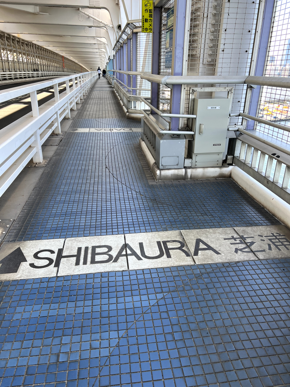 レインボーブリッジ〜豊洲市場周回の写真10