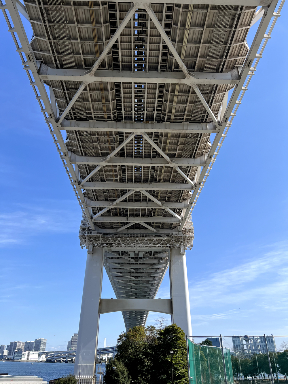 レインボーブリッジ〜豊洲市場周回の写真12