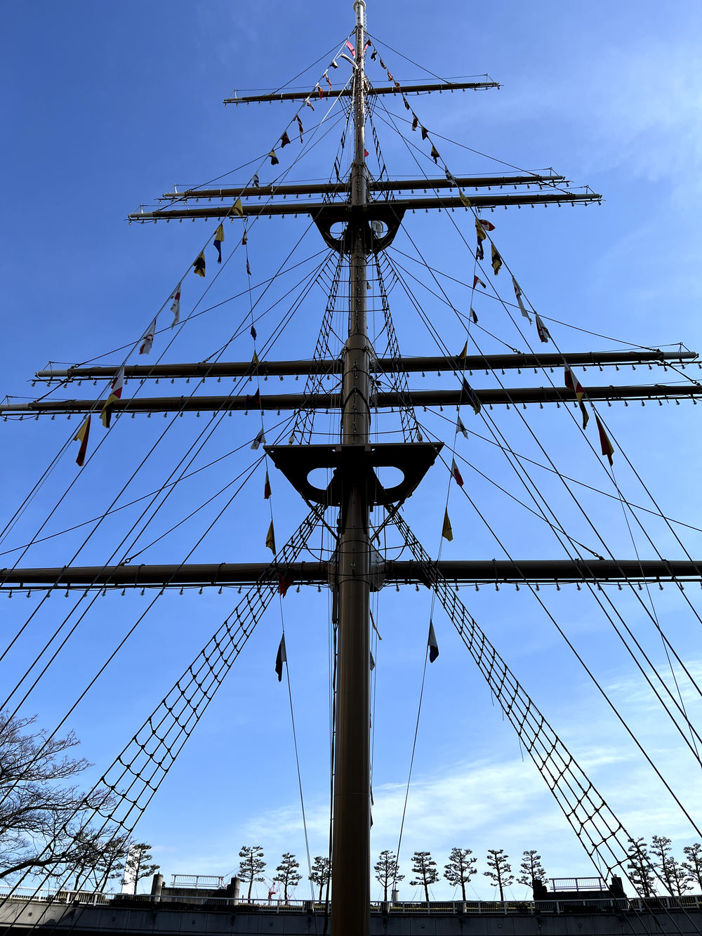 レインボーブリッジ〜豊洲市場周回の写真14