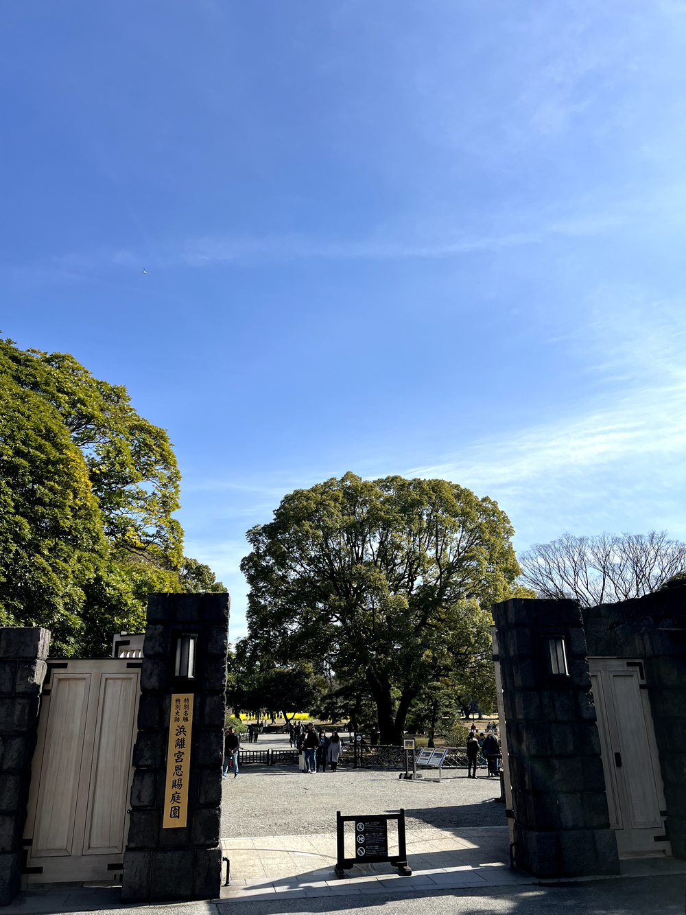 レインボーブリッジ〜豊洲市場周回の写真18