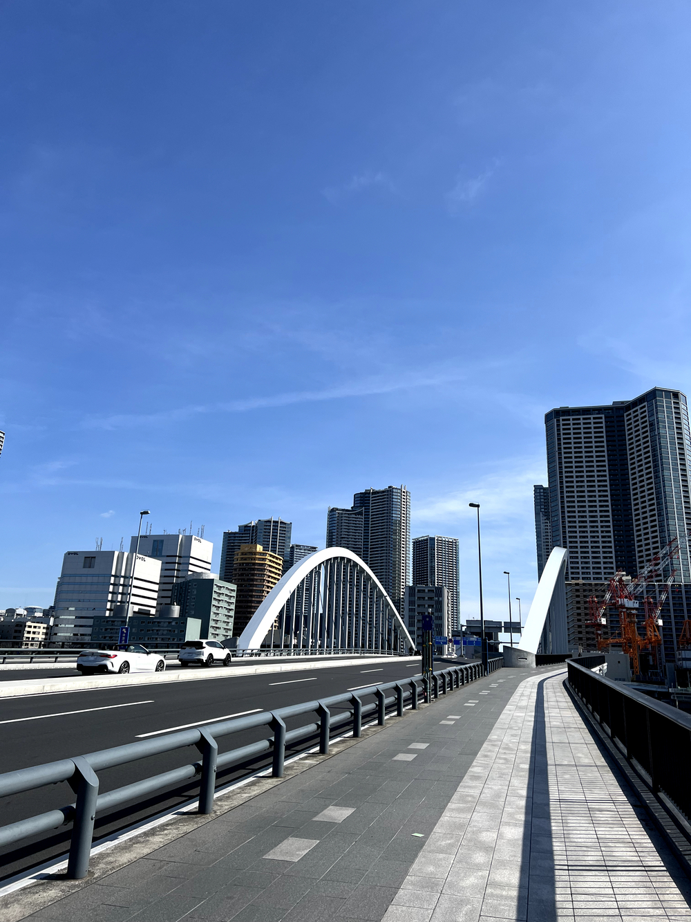 レインボーブリッジ〜豊洲市場周回の写真19