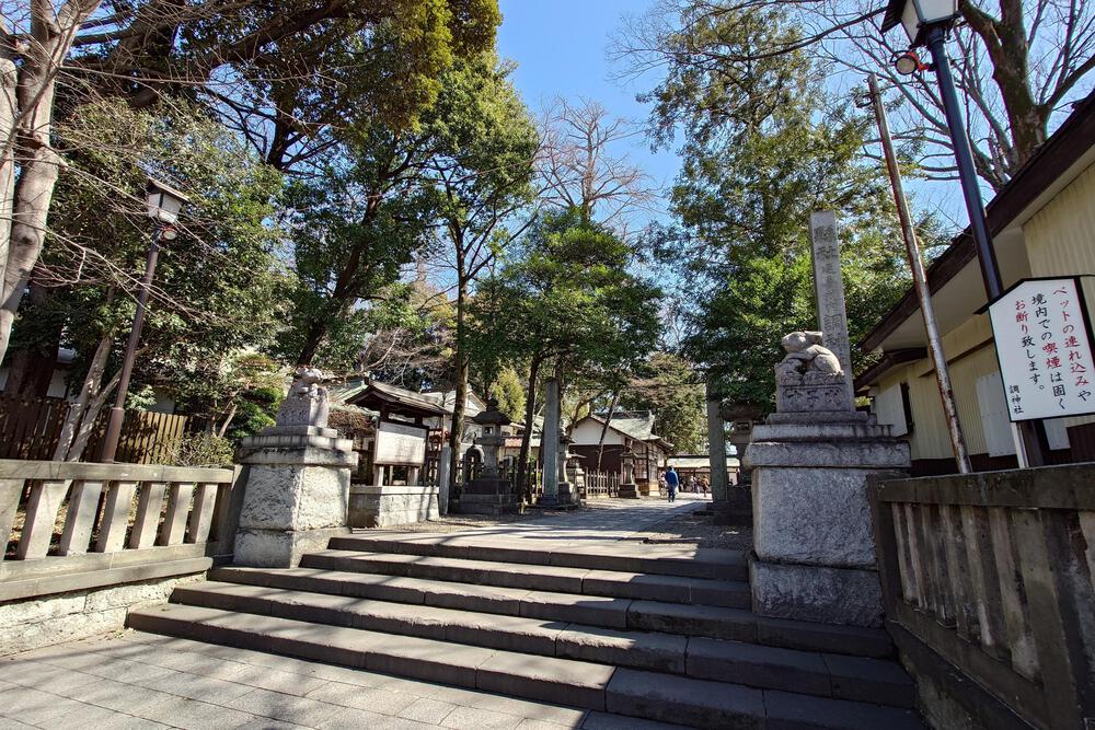 中浦和駅から武蔵浦和駅へのコースの写真5
