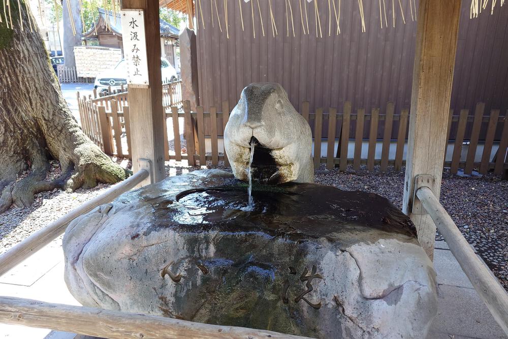 中浦和駅から武蔵浦和駅へのコースの写真6
