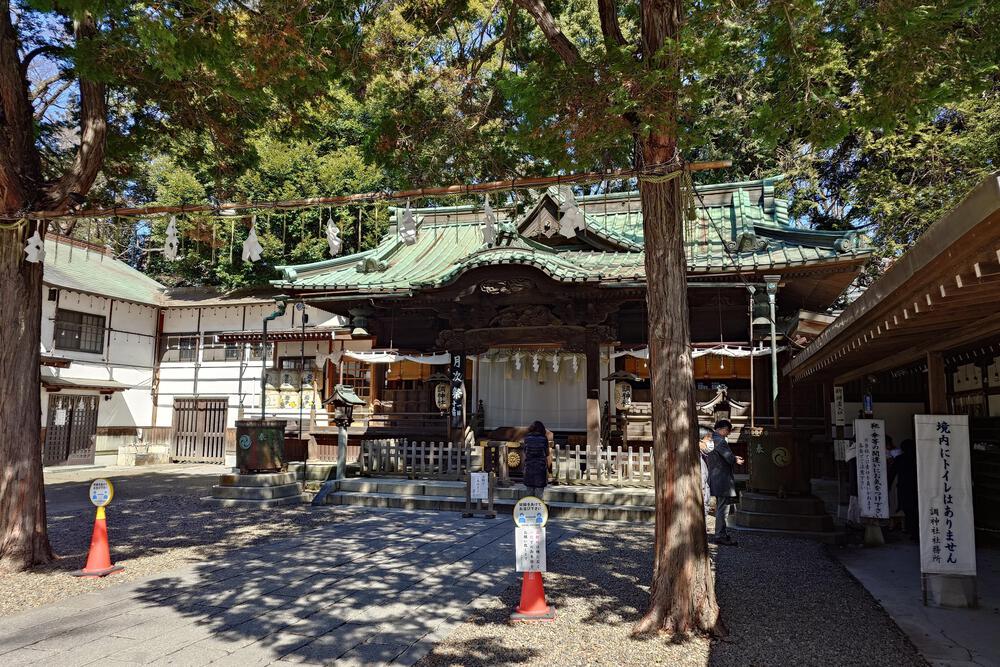 中浦和駅から武蔵浦和駅へのコースの写真7