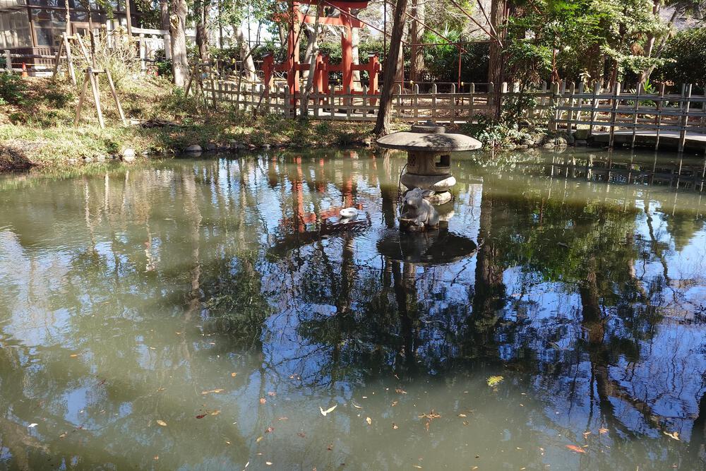 中浦和駅から武蔵浦和駅へのコースの写真8