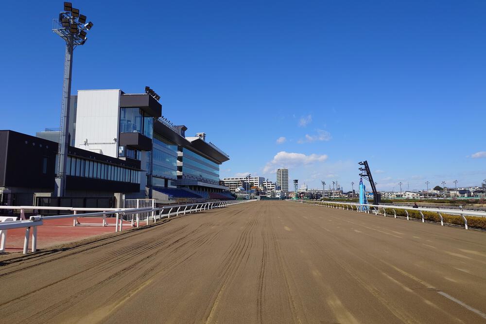 中浦和駅から武蔵浦和駅へのコースの写真10