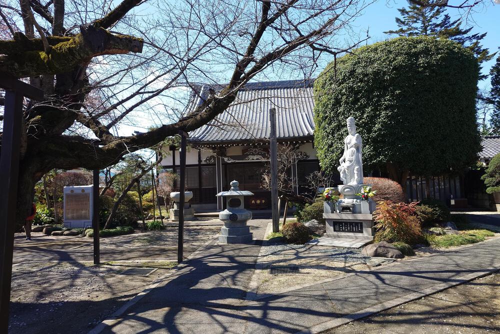 中浦和駅から武蔵浦和駅へのコースの写真12